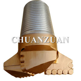 Public Buckle Drill PDC Bit 171MM 3 Blade Untuk Formasi Keras Medium